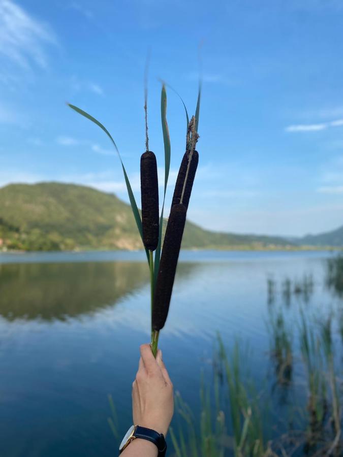 Dijanin Konak Zvornik Buitenkant foto