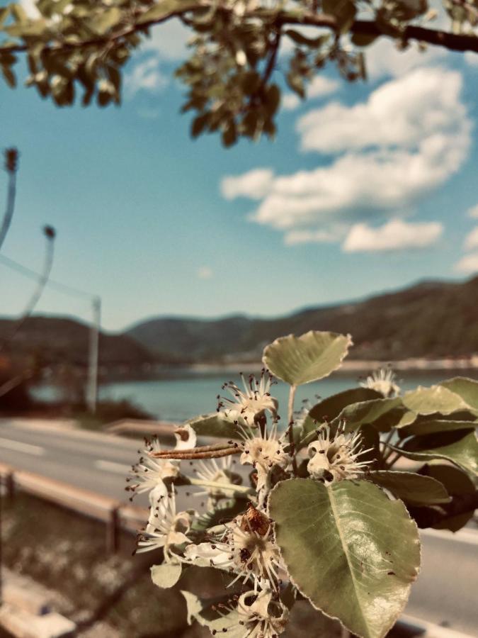 Dijanin Konak Zvornik Buitenkant foto